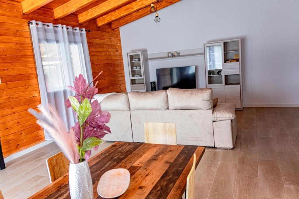 Casas Cristea *